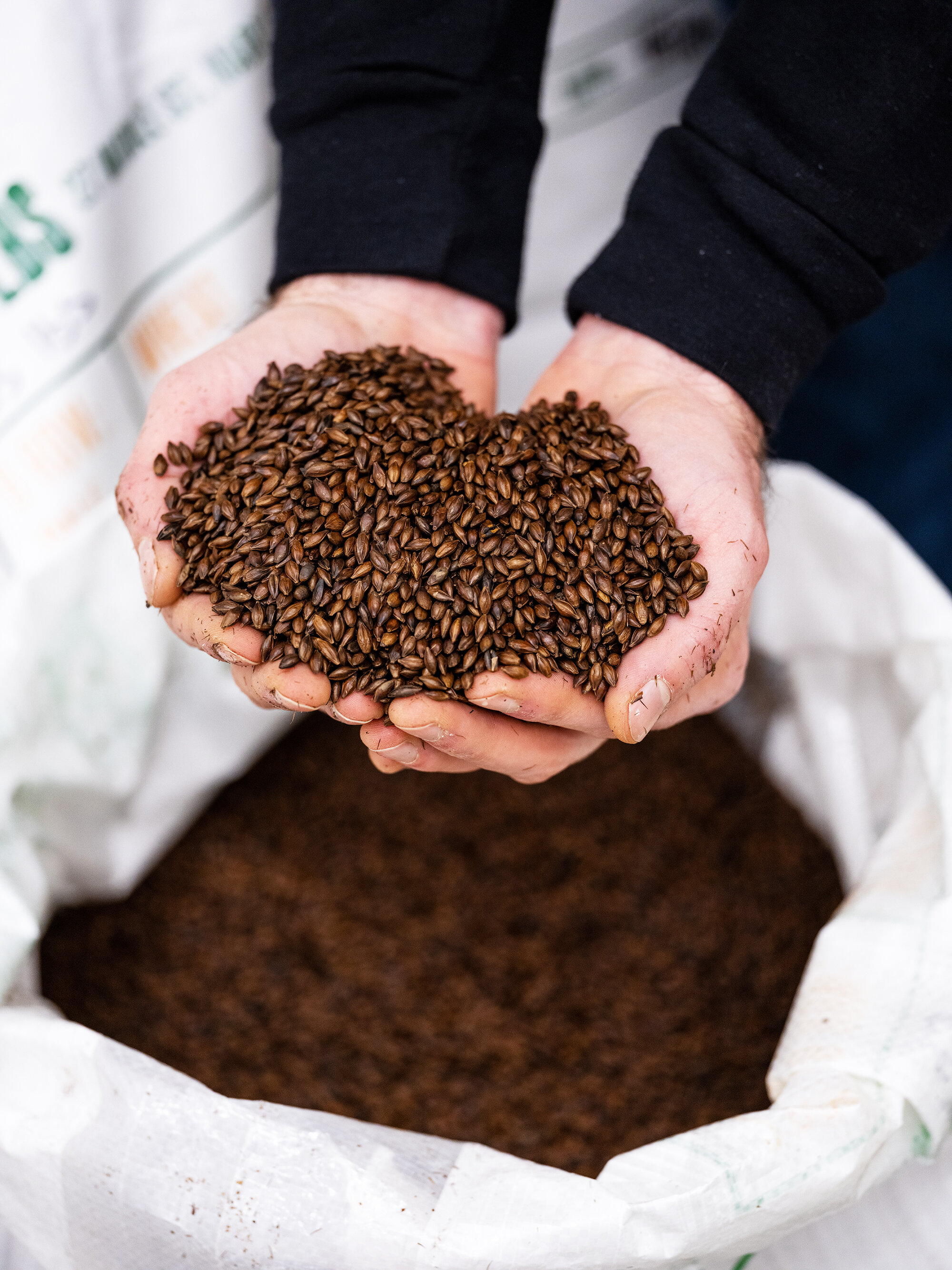 02.16.21 Tree House Charlton - Coffee Liqueur Grain-10.jpg